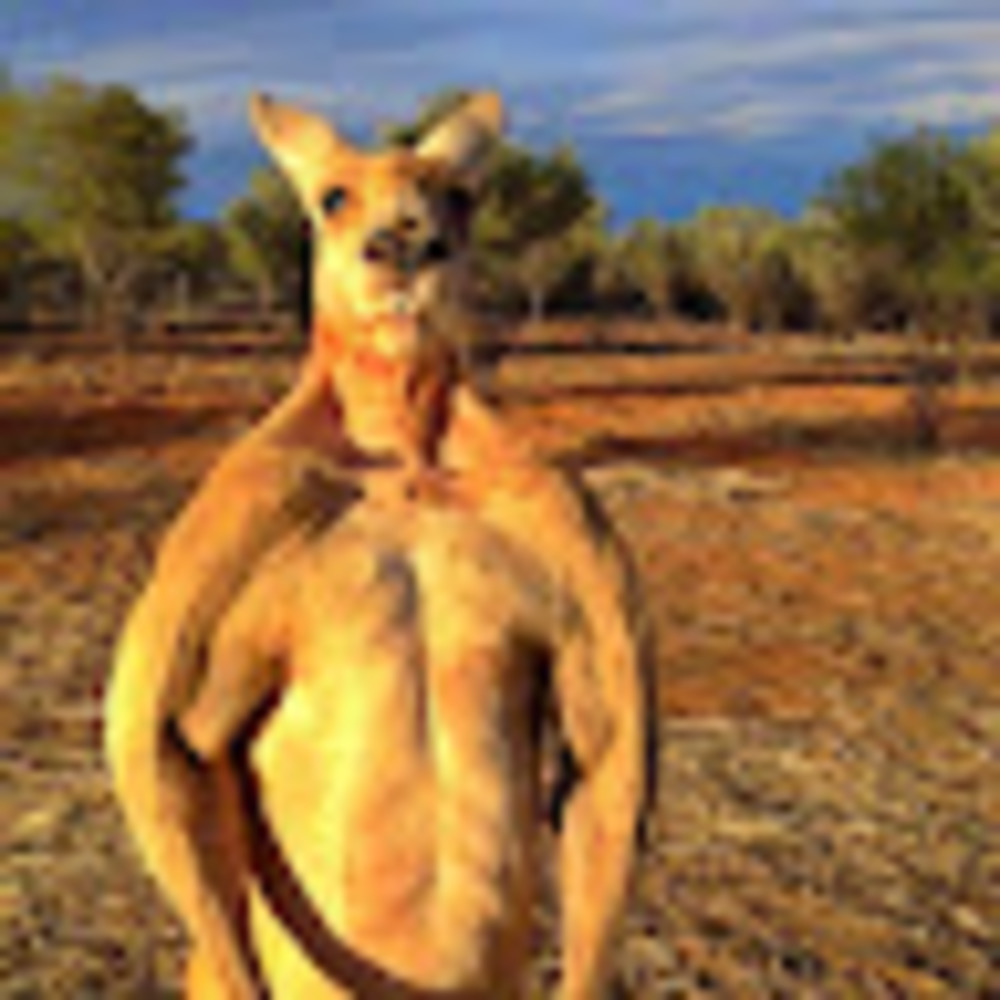 Meet your Posher, Kalib